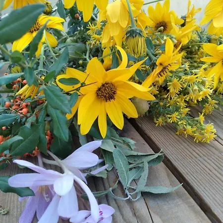 Skrapari Apartman Zhaban