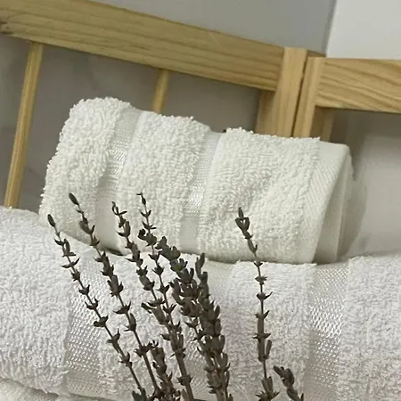 Apartman Skrapari
